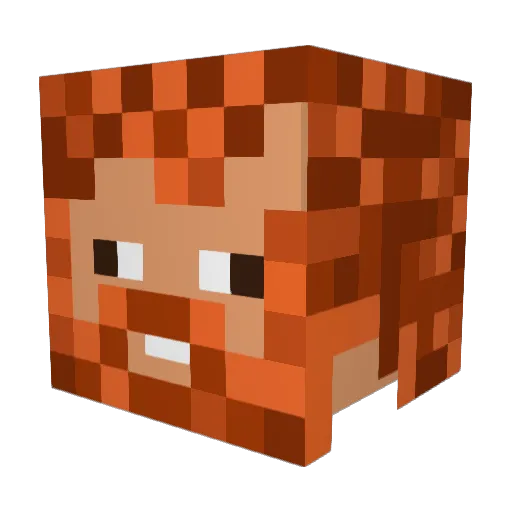 RobbieTomlinson Minecraft avatar head, 3D render