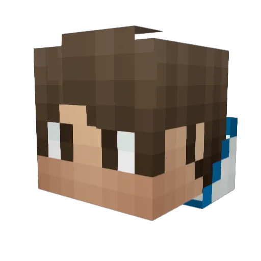 Robbin208 Minecraft avatar head, 3D render