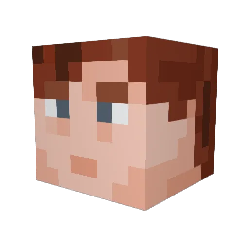 RobbitTehHobbit Minecraft avatar head, 3D render