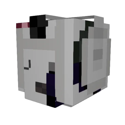 RobboTheMaster Minecraft avatar head, 3D render