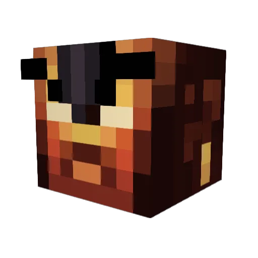 Robbobobin Minecraft avatar head, 3D render