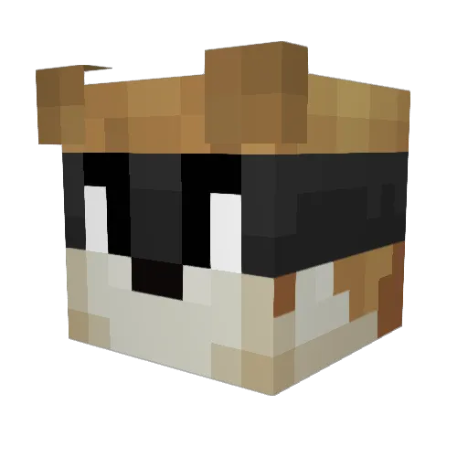 Robbojonas Minecraft avatar head, 3D render