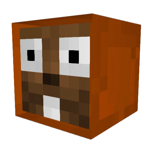 Robbski04 Minecraft avatar head, 3D render