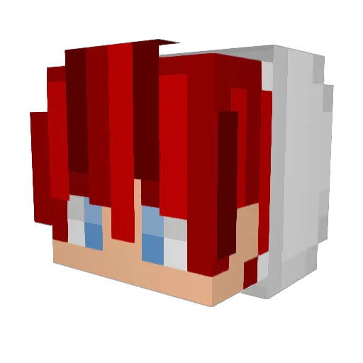 Robbydue592 Minecraft avatar head, 3D render