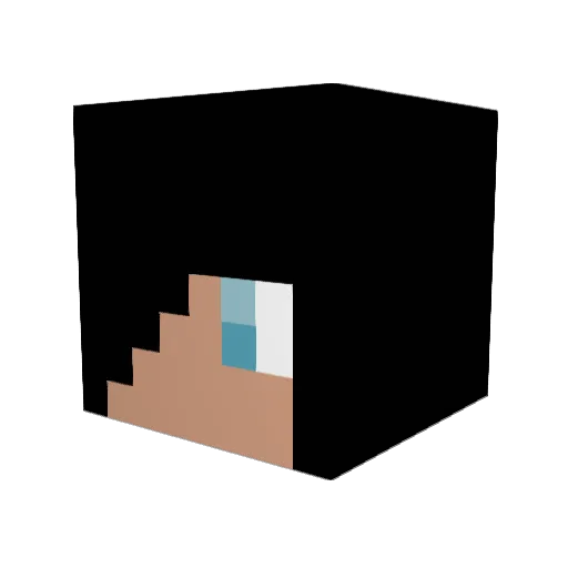 Robbyjd Minecraft avatar head, 3D render