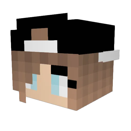 Robbyn2003 Minecraft avatar head, 3D render