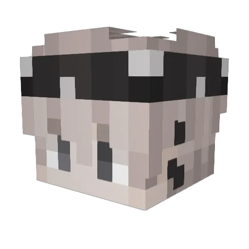 Robbyn333 Minecraft avatar head, 3D render