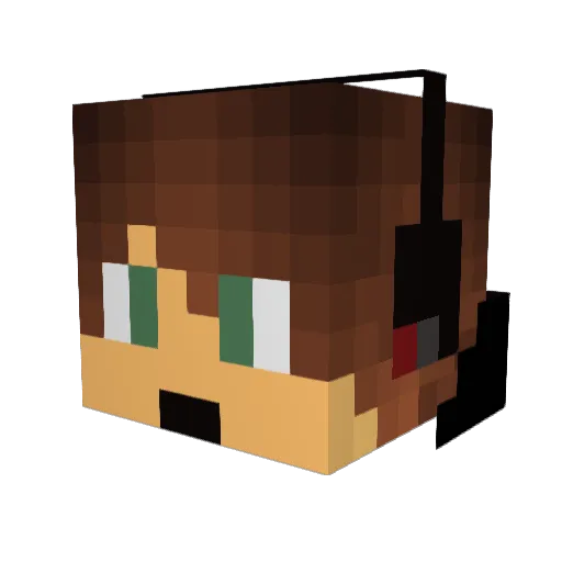 Robbywobby Minecraft avatar head, 3D render
