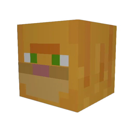 Robcat99 Minecraft avatar head, 3D render