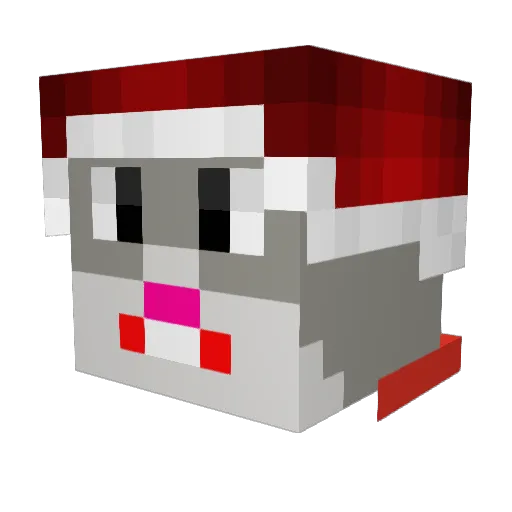 RobcioYT Minecraft avatar head, 3D render