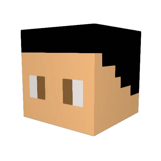 RobeDyna Minecraft avatar head, 3D render