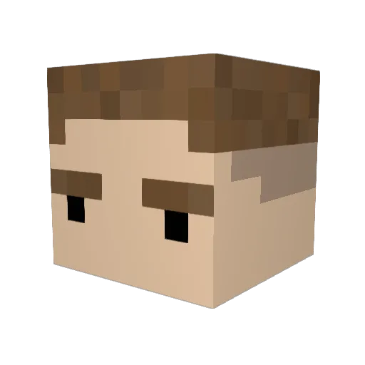 Robecraft_ Minecraft avatar head, 3D render