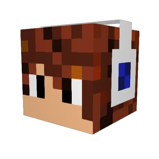 Rober2003 Minecraft avatar head, 3D render