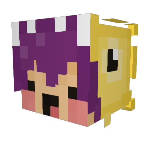 RoberIsLekker Minecraft avatar head, 3D render