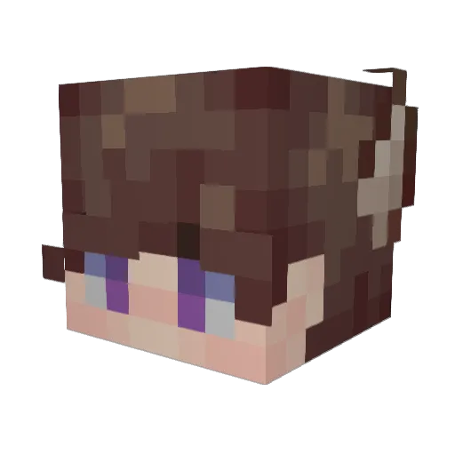 RoberTina69 Minecraft avatar head, 3D render