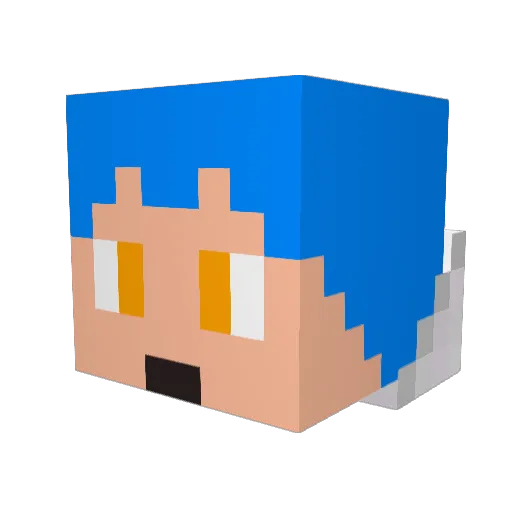 Roberibubble Minecraft avatar head, 3D render