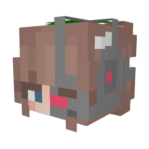 Roberine Minecraft avatar head, 3D render