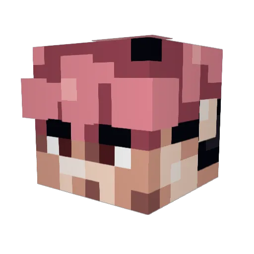 Roberity Minecraft avatar head, 3D render