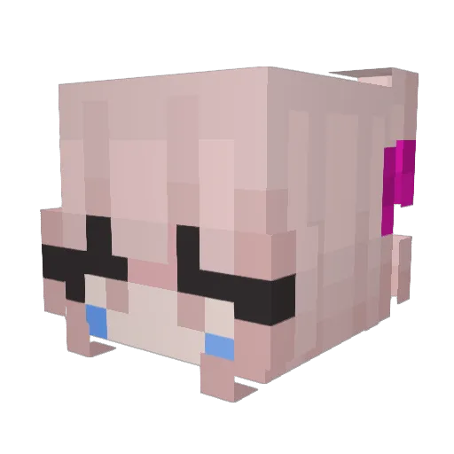 Robert0913 Minecraft avatar head, 3D render