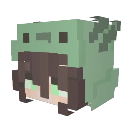 Robert2003 Minecraft avatar head, 3D render