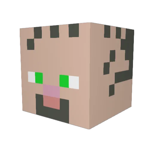 Robert3369 Minecraft avatar head, 3D render
