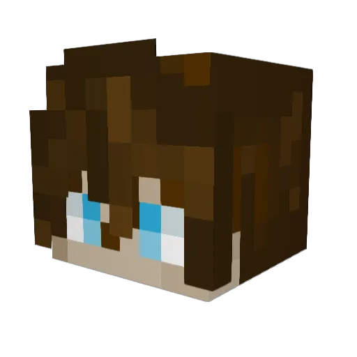 Robert4251 Minecraft avatar head, 3D render