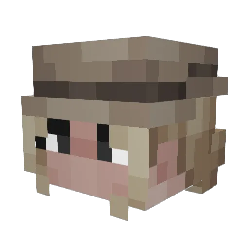 RobertFine Minecraft avatar head, 3D render