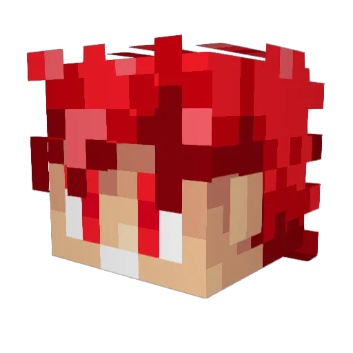 RobertRR30 Minecraft avatar head, 3D render
