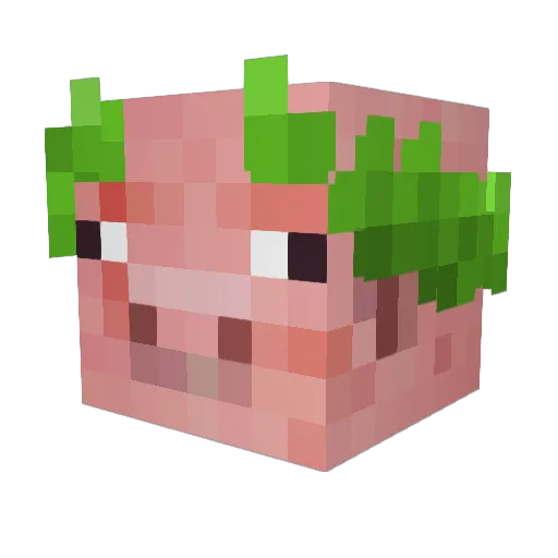 RobertStag Minecraft avatar head, 3D render