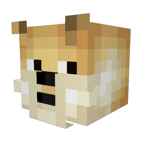 RobertXin Minecraft avatar head, 3D render
