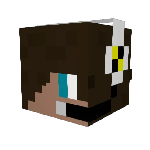 Robert__FTW Minecraft avatar head, 3D render