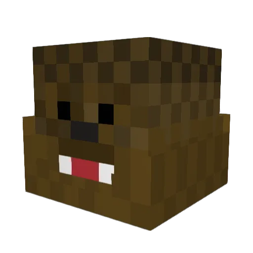 Robert_the_Bacca Minecraft avatar head, 3D render