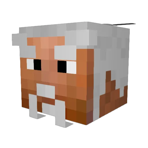 Robertely Minecraft avatar head, 3D render