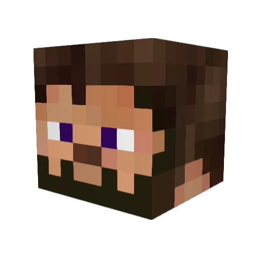 Roberticus101 Minecraft avatar head, 3D render