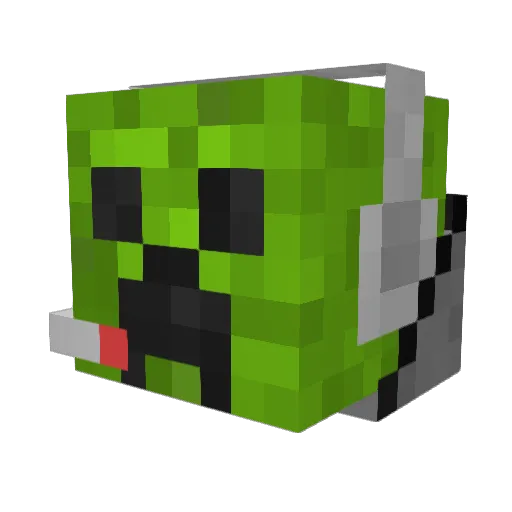 Robertix1 Minecraft avatar head, 3D render