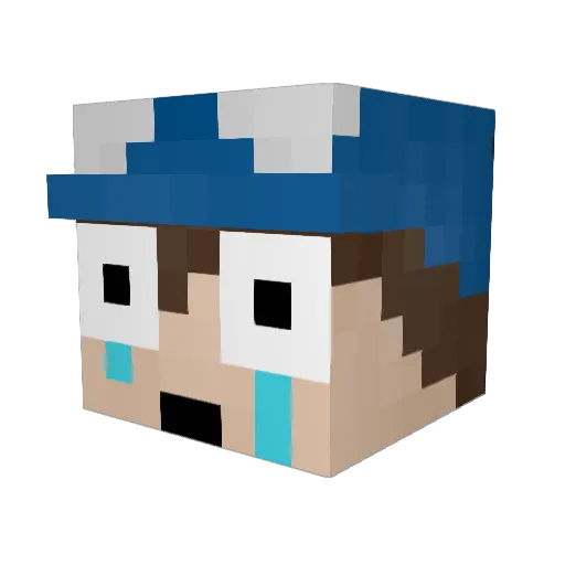 RobertoNovato Minecraft avatar head, 3D render