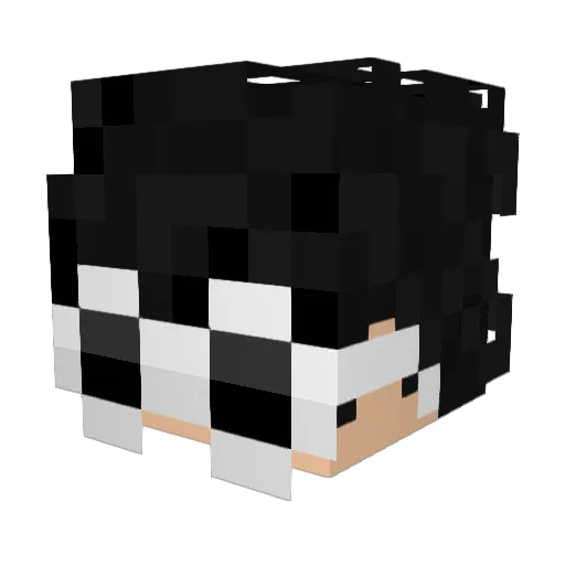 RobertoTenior696 Minecraft avatar head, 3D render