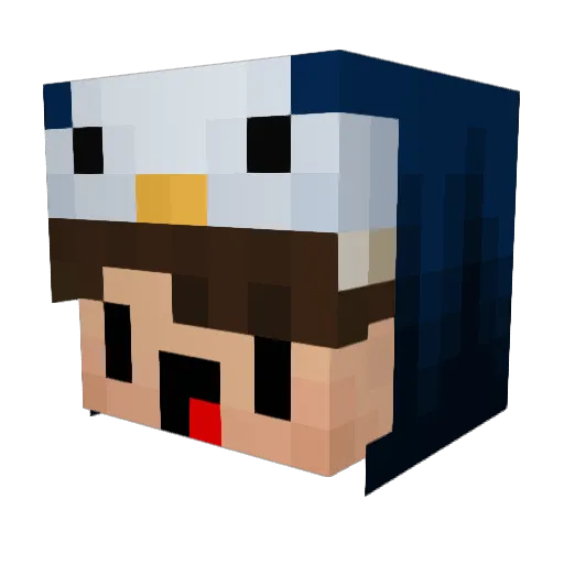 Robexa2004 Minecraft avatar head, 3D render