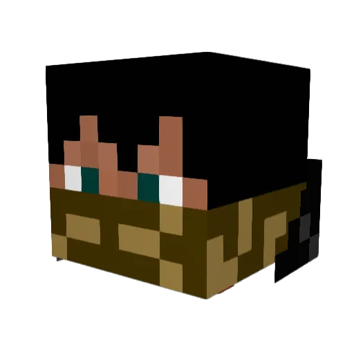 Robey843 Minecraft avatar head, 3D render