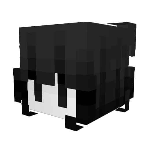 Robi233 Minecraft avatar head, 3D render