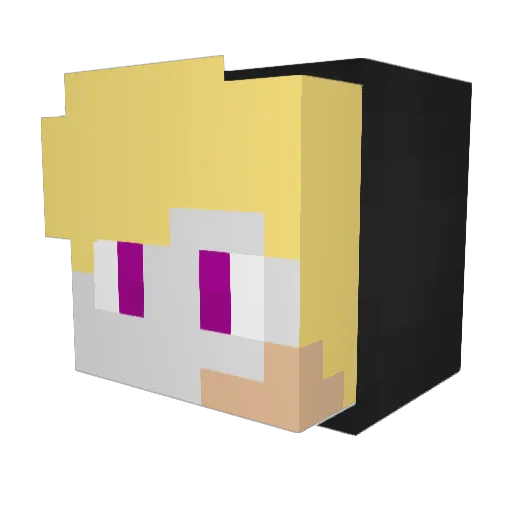 Robi537 Minecraft avatar head, 3D render