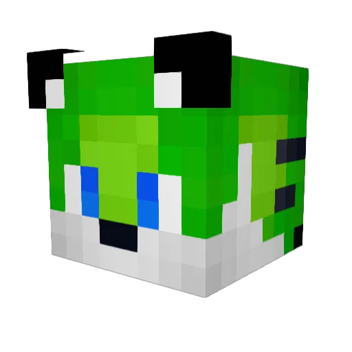 RobiLec Minecraft avatar head, 3D render