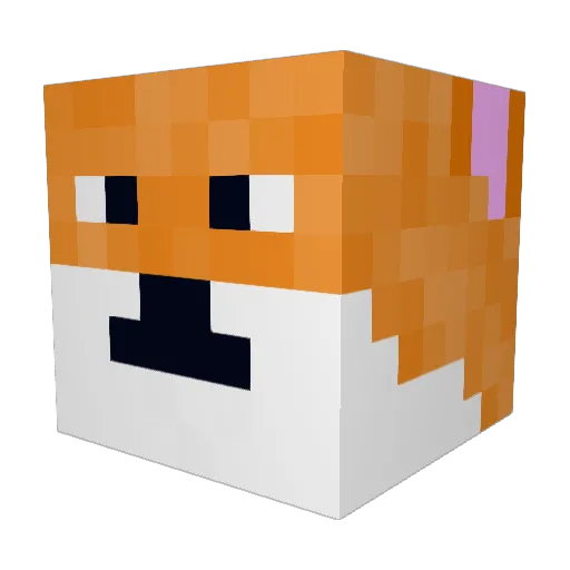 Robi_xd Minecraft avatar head, 3D render