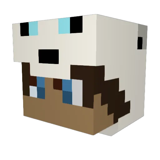 Robiborg Minecraft avatar head, 3D render