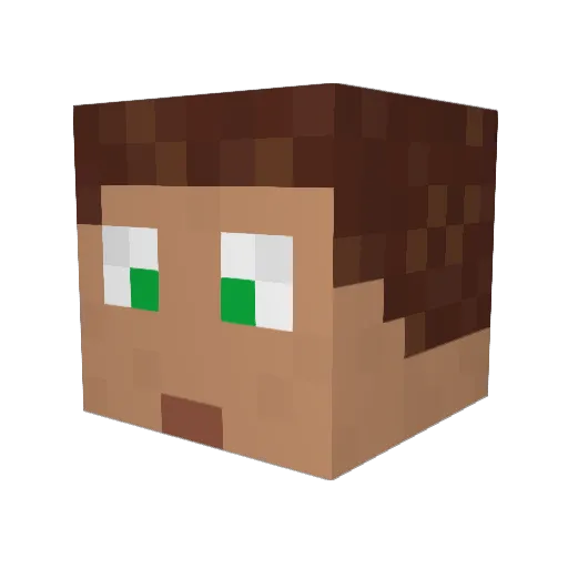 Robibtas Minecraft avatar head, 3D render