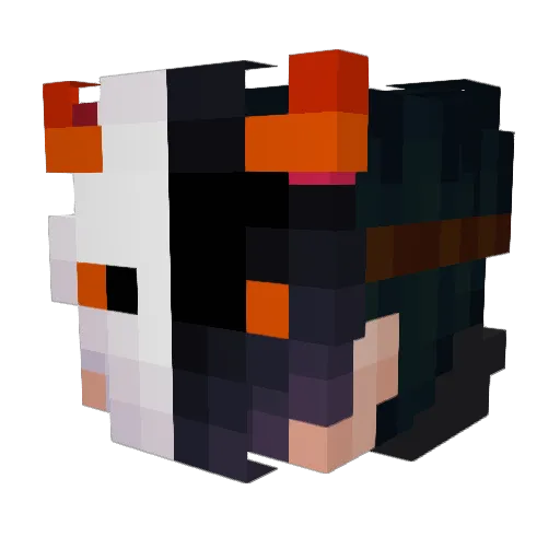 Robid Minecraft avatar head, 3D render
