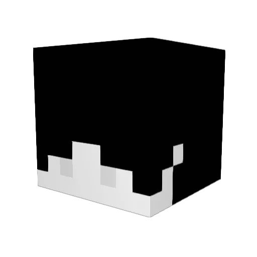Robik55 Minecraft avatar head, 3D render