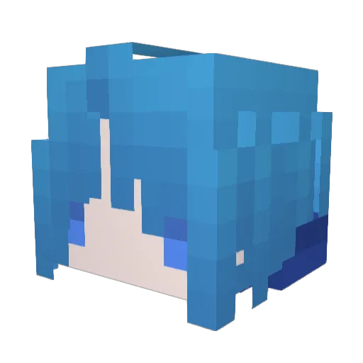 Robin009 Minecraft avatar head, 3D render