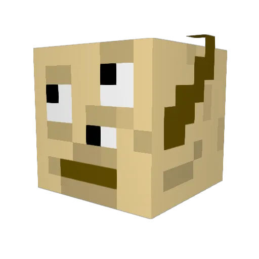 Robin121314 Minecraft avatar head, 3D render