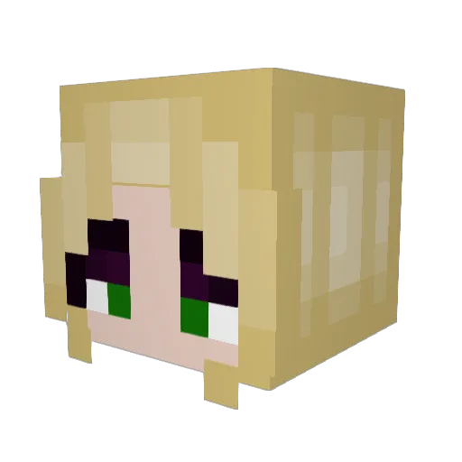 Robin2798 Minecraft avatar head, 3D render